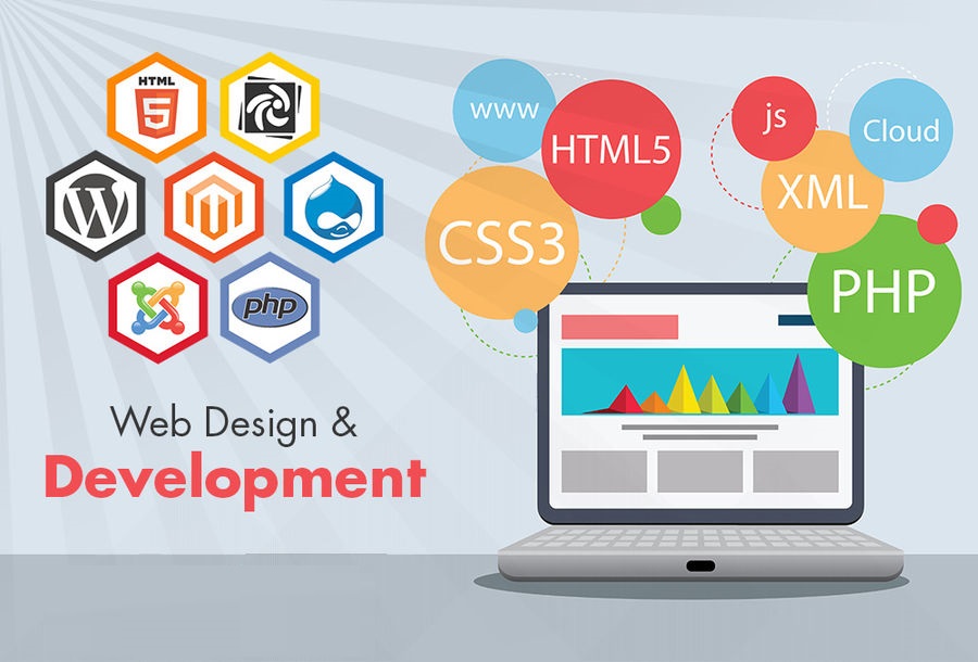 website designing in delhi