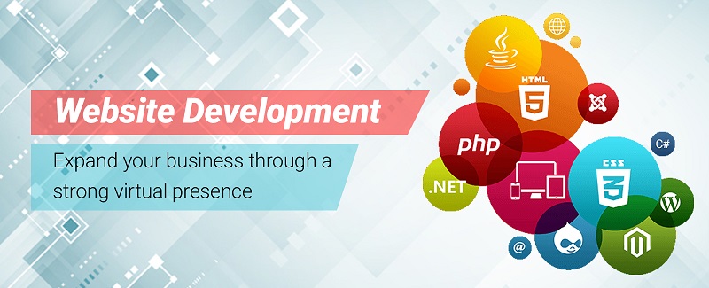 website design and development Delhi